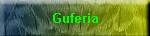 Guferia